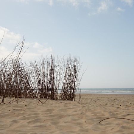 Apartamento Coquina Mrz Rentals Barbate Exteriér fotografie